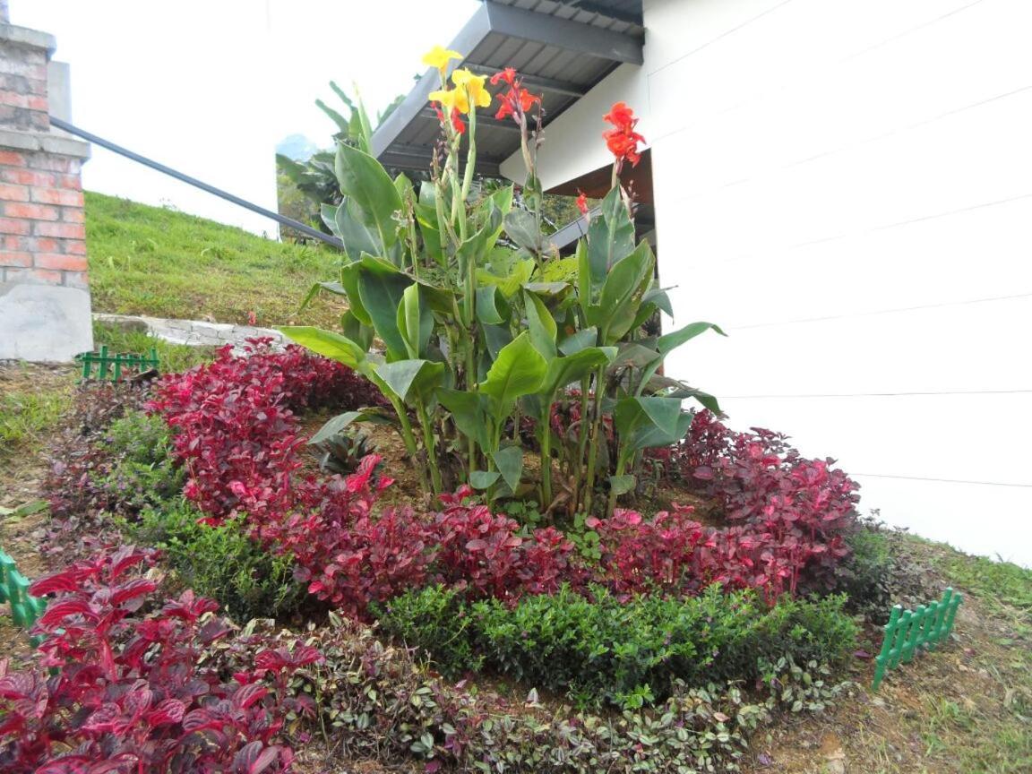 Ayana Holiday Resort Kampong Kundassan Exterior foto